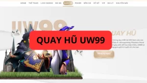 Quay hũ uw99